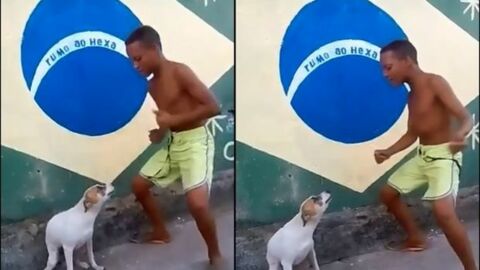 Wenn dieser Junge Samba tanzt, macht sein Hund gleich mit!