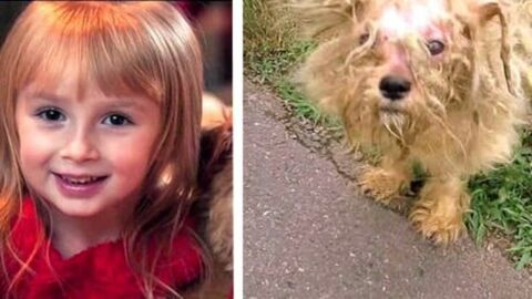 Ein kleines Mädchen rettet einen Hund davor ausgesetzt zu werden.
