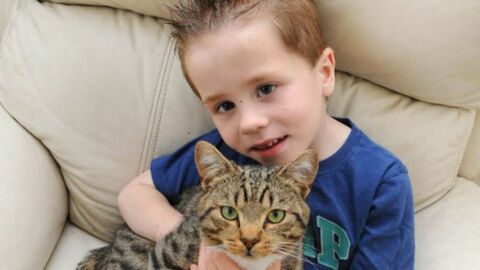 Dieser kleine Junge wurde auf der Straße angegriffen. Doch seine Katze hat ihm auf unfassbare Weise das Leben gerettet.