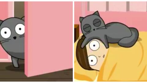 Das haben wir nachts wegen unserer Katze alle schon erlebt!