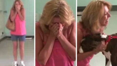 Frau bricht in Tränen aus, als sie ihren gelähmten Hund abholen will.