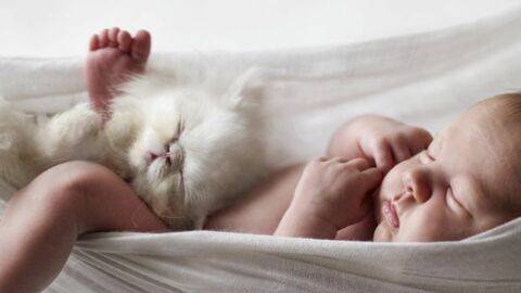 Fotos von wunderschönen Freundschaften zwischen Katzen und Babys