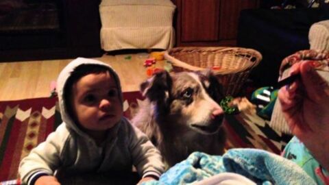 Das Baby soll "Mama" sagen... Aber guckt euch den Hund an