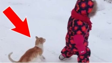 Diese Katze folgt dem Kleinkind mit umwerfenden Gefühlsbezeugungen im Schnee...
