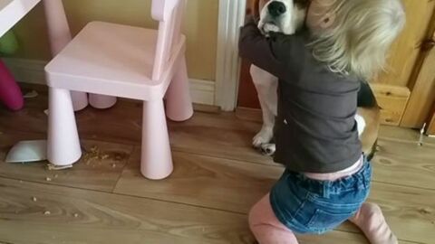 Dieses kleine Mädchen tröstet einen Hund, obwohl er gerade eine Schale zerbrochen hat