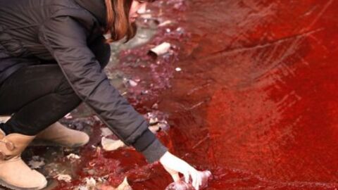 Grauenhafte Bilder: Das sind die Folgen von Umweltverschmutzung und Erderwärmung