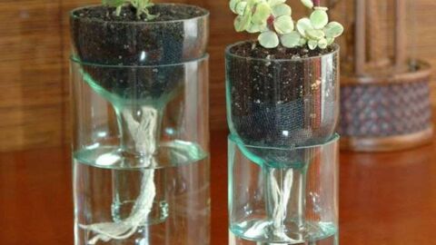 Sie nimmt eine Glasflasche und bastelt daraus etwas Unfassbares