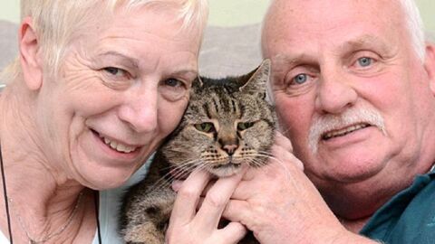 Die älteste Katze der Welt ist gestorben. Ihre Besitzer nehmen Abschied
