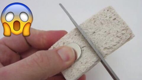 Fensterputzen leicht gemacht: Mit diesem einfachen Trick macht das Fensterputzen sogar Spaß!