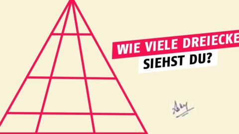 Nur jeder 10. findet alle Dreiecke im Bild! Die Lösung gibt es im Video!