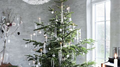 Zwanzig wirklich schön geschmückte Weihnachtsbäume