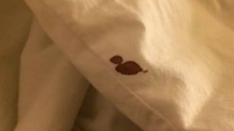 Die 15 schlimmsten Hotelzimmer. Iiiiiihhh!
