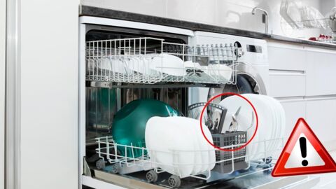 Es gibt einen Gegenstand, den du nie in der Geschirrspülmaschine waschen solltest. Und dennoch machen alle diesen Fehler!