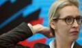 Alice Weidel: Privatleben gefährdet womöglich politische Karriere bei der AfD