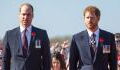 Royale Beerdigung: Das haben Prinz William und Harry wirklich besprochen