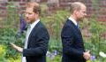 William und Harry: Ihr Verhalten bei Enthüllung von Diana-Statue spricht Bände