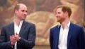 William und Harry: Hat William seinen jüngeren Bruder verraten?