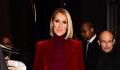 Céline Dion: Dieser Weltstar hat sich von ihr abgewendet