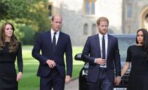 Experten über Streit zwischen Harry und William: Ihre Fehde könnte "generationenübergreifend" sein