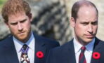 "Beleidigend und schädlich": Harry und William verurteilen britische Presse
