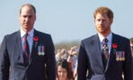 Royale Beerdigung: Das haben Prinz William und Harry wirklich besprochen