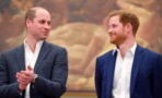 William und Harry: Hat William seinen jüngeren Bruder verraten?