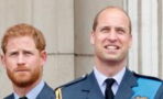 Prinz William und Prinz Harry nehmen gemeinsam an den "Diana Legacy Awards" teil