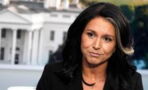Tulsi Gabbard als Chefin der Nachrichtendienste: Vorwürfe russischer Propaganda in Vergangenheit
