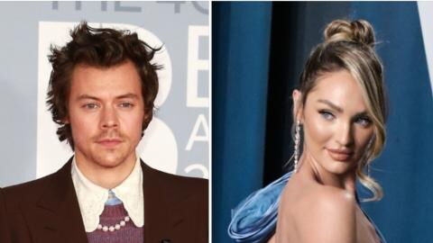 Hat sich Harry Styles den nächsten Victoria's-Secret-Engel geschnappt?
