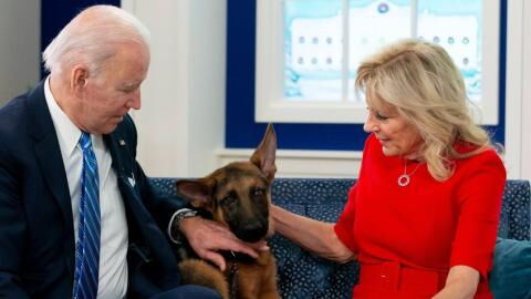 Nach Beißattacken: Joe und Jill Biden haben Hund Commander weggegeben