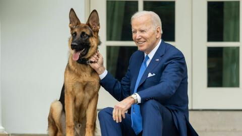 Deshalb schmeißt US-Präsident Joe Biden seinen Hund aus dem Weißen Haus