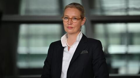 alice weidel fakten privatleben arbeit hobbys