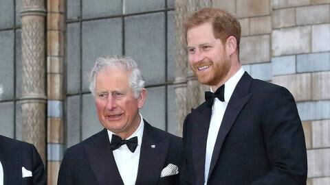 Ruft Prinz Harry jetzt König Charles III. und Prinzessin Kate an?