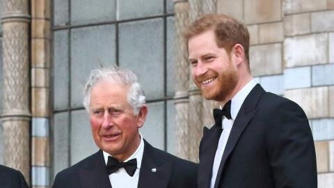 Nach Blitzbesuch bei König Charles: Prinz Harry wieder auf Heimreise