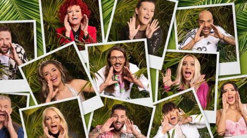Wie gefährlich wird das RTL-Dschungelcamp für die Promis?