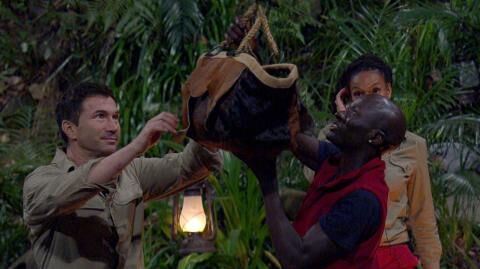 "So ein ekelhafter Mensch": Diesen Dschungelcamper kann Djamila Rowes Sohn nicht ausstehen