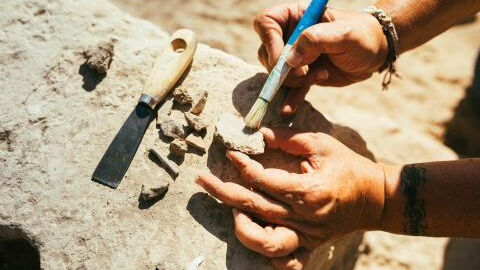 "Teufelsgeld": der sensationelle Schatzfund der Germanen in den Niederlanden