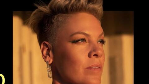 Liebes-Aus bei Pink und Carey Hart: Trennung nach 20 Jahren Ehe