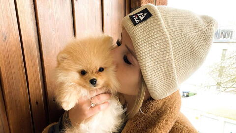 TV-Sternchen adoptiert Hund und gibt ihn drei Tage später wieder ab