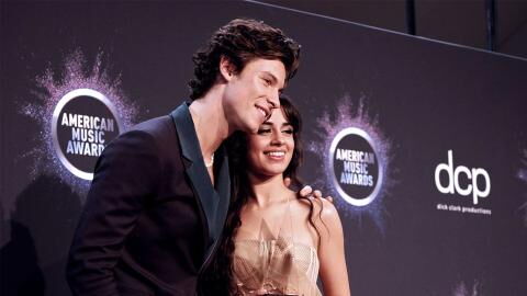 Shawn Mendes und Camila Cabello haben sich für Adoption entschieden