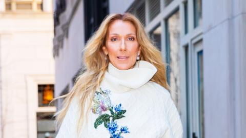 Céline Dion sagt dutzende Konzerte ab: Wie geht es ihr wirklich?