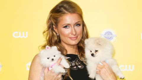 Die 10 verrücktesten Dinge, die sich Stars gekauft haben