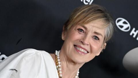 Sharon Stone verblüfft Fans mit neuem Foto: Sie trägt nur ein winziges Bikini-Unterteil