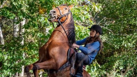 TV-Tipps am Dienstag