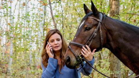 TV-Tipps am Dienstag