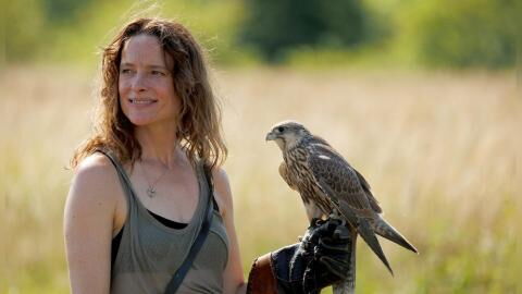 TV-Tipps am Mittwoch