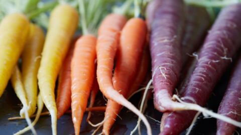 Gesund und lecker: Diese fünf ungeahnten Vorzüge der Karotte
