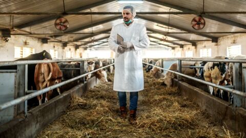 Bayern: "Ausgestorbene Krankheit" von Rind auf Kind übertragen