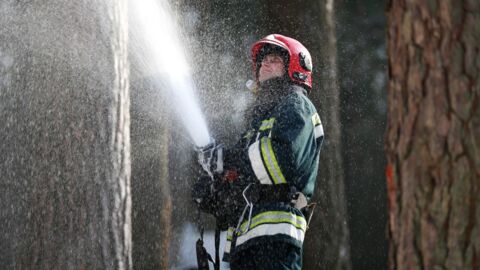 Mutige Aktion: 18-Jähriger rettet hilfloses Wesen aus brennendem Wald