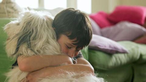Adoptierter Junge: Seniorenhunde schenken ihm Lebensfreude zurück, dann gibt er ihnen noch viel mehr